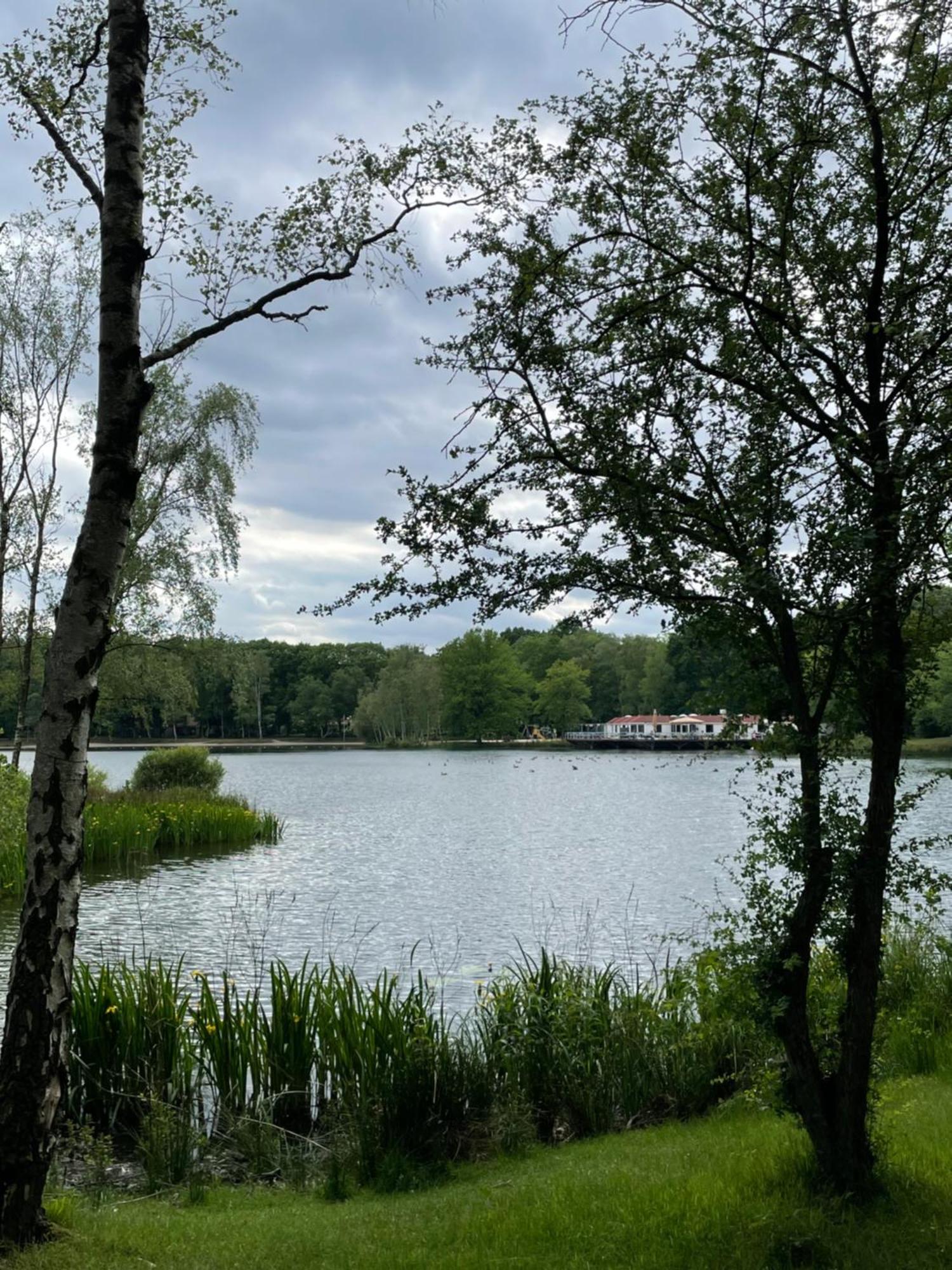 Bungalow Amnis By Sonnevijver Residences Lanaken Eksteriør billede